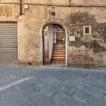 Ninfea Dream